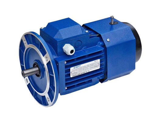 Motor de CA con freno serie YEJ: 0,12-22 kW, 1000-3000 RPM